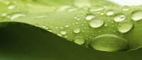 /album/naturopatia/naturopatia5-jpg1/